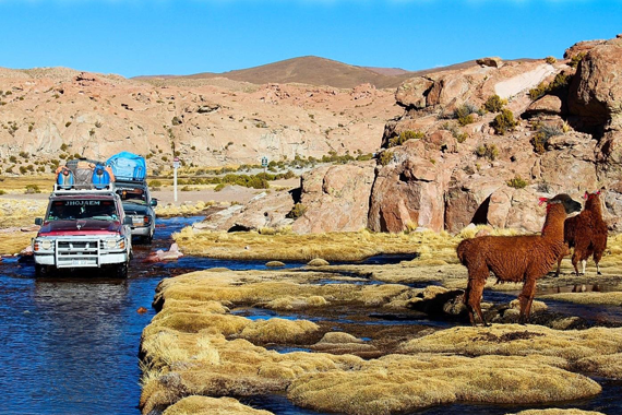 bolivia