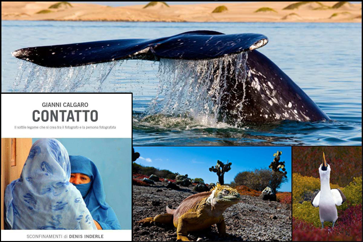 Baja California Galapagos